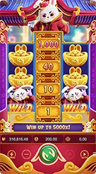 8g8g · Fortune Rabbit